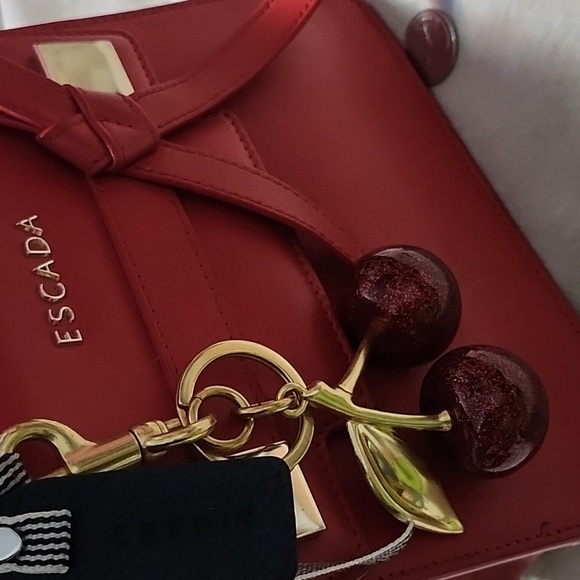 Accessories - Cherry 🍒 bag charm